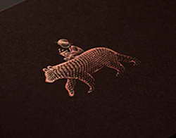 У Виртца 0+0 в 9 матчах в АПЛ за «Ливерпуль» после трансфера за 116 млн фунтов