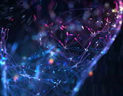 В России количество климатических проектов за три года увеличилось в шесть раз