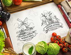 25 000 семей Тюменской области получили поддержку в социальных гостиных