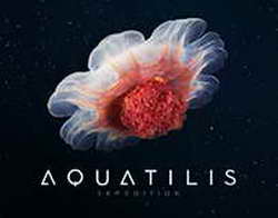 Чемпионат России по регби-7. «Динамо» обыграло «Стрелу-Ак Барс» в финале 4-го тура, «Застава-7» взяла бронзу, другие результаты