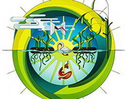 В Комаричском районе успешно собирают богатый урожай подсолнечника