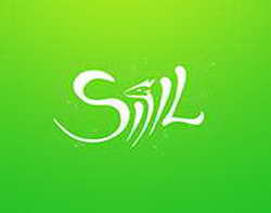 Количество дезертиров в ВСУ за октябрь стало рекордным - силовики