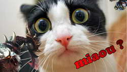 Западу придется «с поклоном идти» к Путину из-за «Посейдона» — Володин