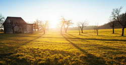 В КНР заявили об огромном потенциале приграничного сотрудничества с РФ